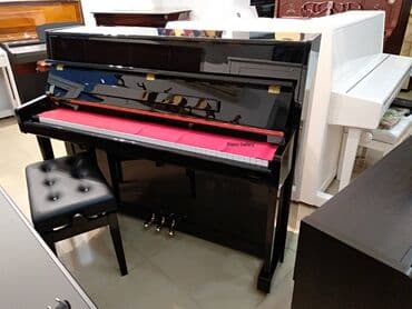 piano oturacağı: Пианино, Kingsburg, Акустический, Новый, Бесплатная доставка — 3