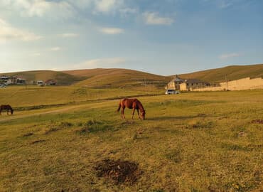 kiraye otaq yoldasi oglan: 4 sot, Tikinti, Mülkiyyətçi, Kupça (Çıxarış) — 1
