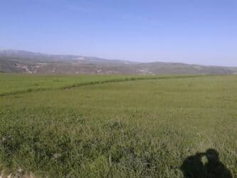 əmircan qəsəbəsi: 465 sot, Kənd təsərrüfatı, Barter mümkündür, Texniki pasport, Kupça (Çıxarış), Bələdiyyə — 2