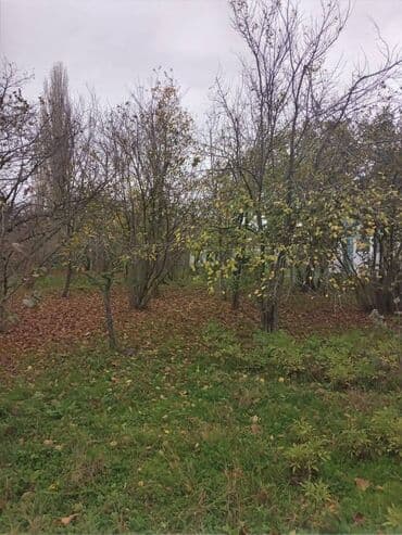 продажа и аренда домов: 4 комнаты, 110 м², Нет кредита, Без ремонта — 7