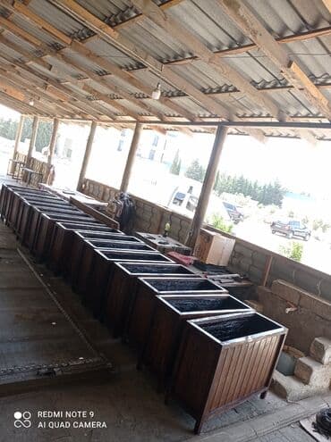 yaz gülləri: ♦️Endrim Yaz ▶️İstenilən modeldə dipçəklər hazırlanır. 🌈İstənilən — 2