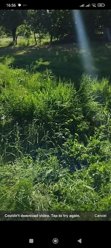 45 sot, Biznes üçün, Barter mümkündür, Kupça (Çıxarış)