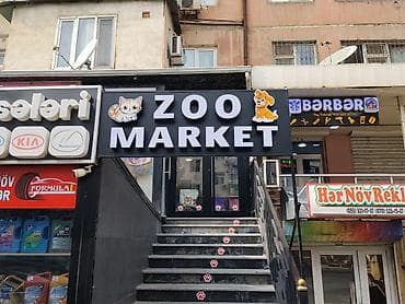 Рекламные щиты: “ZOO MARKET” işıqlandırılan vitrin lövhəsi.qiymetde razilasmaq olar — 2