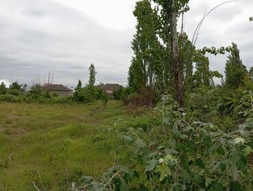 bineqedi rayonu resulzade qesebesi: 6 sot, Tikinti, Mülkiyyətçi, Kupça (Çıxarış) — 4