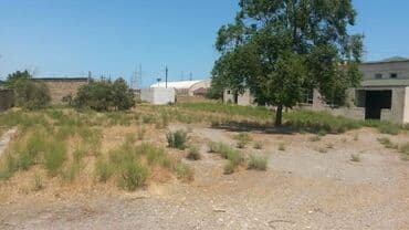 dübəndi torpaq: 200 sot, Tikinti, Makler, Kupça (Çıxarış) — 13