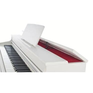 стул для пианино: Piano, Casio, Rəqəmsal, Yeni, Pulsuz çatdırılma, Rayonlara çatdırılma, Ünvandan götürmə — 3