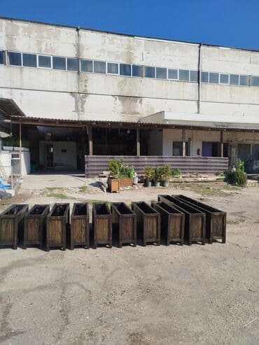 bitkiler: Dibçək güldanlar. Dipçəklər bir başa sexdən.Sex qiymətinə. ♦️Endrim — 3