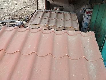 Quşlar: Salam her iksi satilir tecili 170 manata ikisi bir yerdə unvan — 4