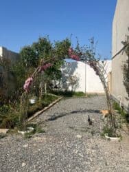 əhmədlidə kirayə evlər 2023: 170 kv. m, 5 otaqlı, Qaz, İşıq, Su — 10