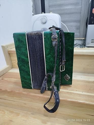 uşaq akkordeonu: Akustik Akkordeon, İşlənmiş — 3