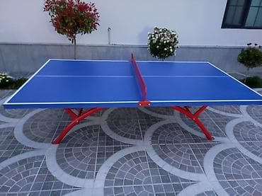 İdman və istirahət: Çöl üçün tenis masası — 2