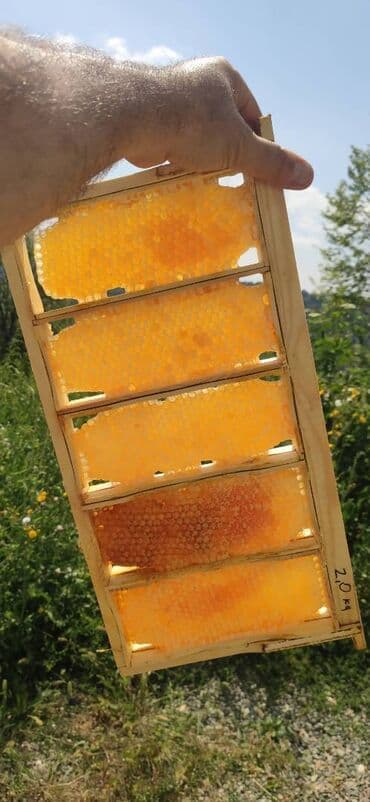 продается мед: ELF BEE'S 1977 ECO-PRODUCT FOR HEALTH AND LONGEVITY Tovuzun — 23