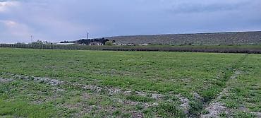 kiraye hovuzlu evler: 200 sot, Kənd təsərrüfatı — 7