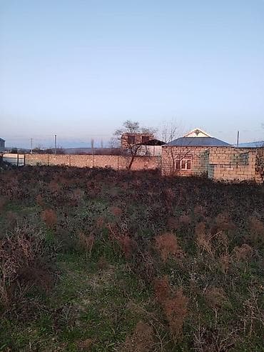 şirvan əmlak: Şirvan şəhər Hacıqəhrəmanlı qəsəbəsi Fərman quliyev küçəsi Həyətyanı — 5