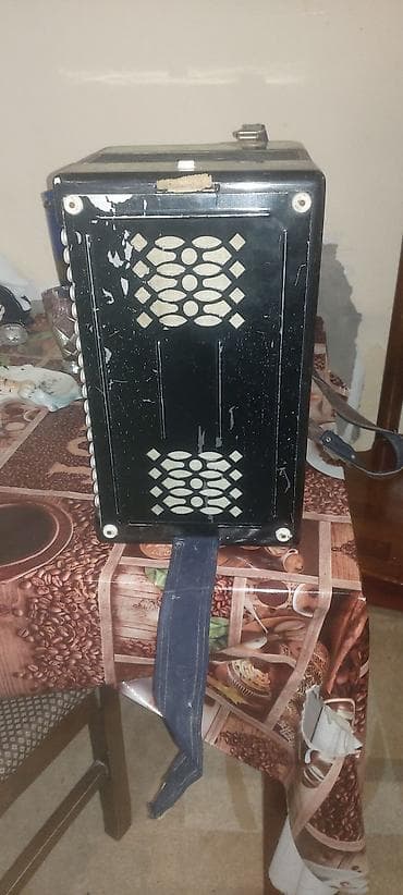 Musiqi alətləri: Akustik Akkordeon — 3