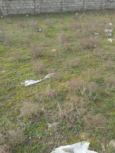 huseynbala eliyev kucesi: Tikinti — 1