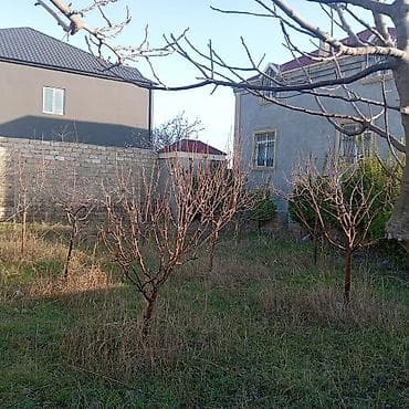 quba ev alqi: 120 kv. m, 5 otaqlı — 6