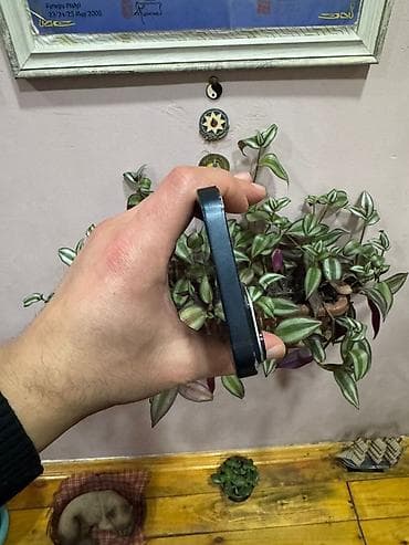 prodat iphone: IPhone 14, 128 GB, Mavi, Face ID — 6