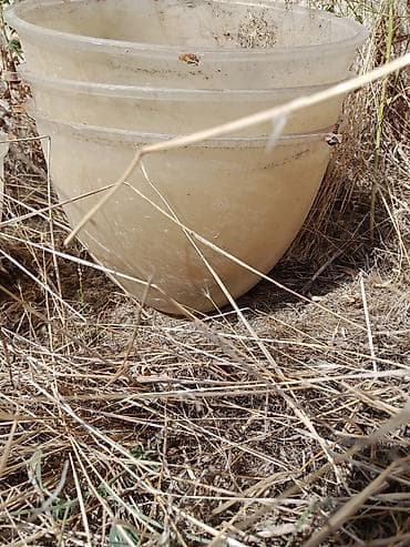 rengli guller: Böyük plastik çiçək qabı.4 dənədir Böyük qablardır Böyük bağlara və — 2