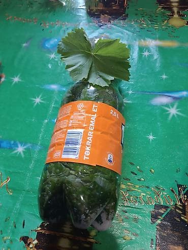 yemek termosu qiymeti: Məhsul: Üzüm yarpağı (doldurma/yarpaq dolması üçün) - Təzə yığılmış — 1