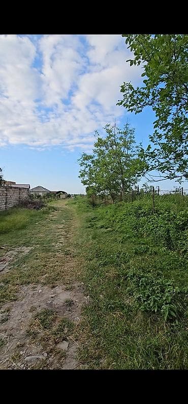 kirayə ev zabrat 1: 8 sot, Kupça (Çıxarış) — 4
