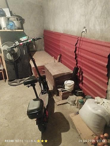 şirvan mapet: Kuba 2024 il, 5 km — 2