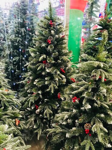 kremlovski yolka: Yolka — 2