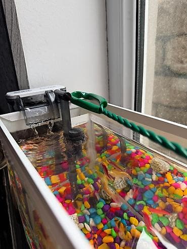 akva ayaqabılar: Kiçik akvarium komplekti - Şüşə akvarium, təxmini 15–20 litr həcm - — 4