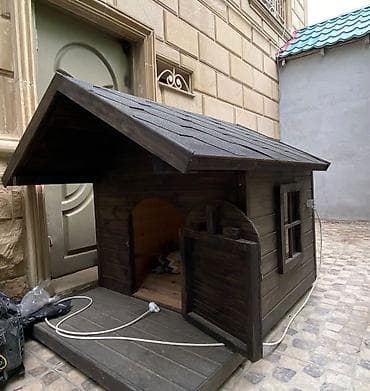 Salam it yuvasi 1000 azn isti pol var ✨ “Qəfəs Craft” – Sevimli