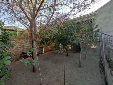 sumqayitda kiraye evler 8 mkr: 4 комнаты, 110 м², Нет кредита, Свежий ремонт — 10