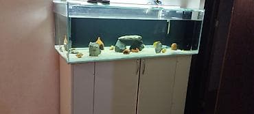 akvaryum satış: 1.50uzunlugu 50hundurluyu 60eni extra clear şüşədən 10luq yığılıb alt — 6
