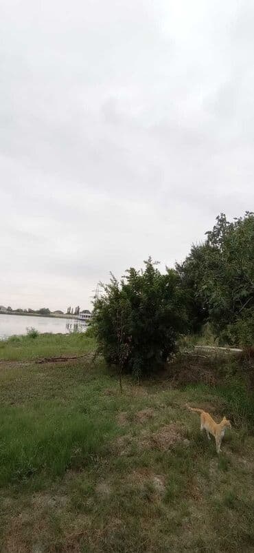 ehmedlide torpaq satilir: 10 sot, Biznes üçün, Mülkiyyətçi, Kupça (Çıxarış) — 6