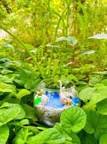 çəmən otu: WhatsApp aktivdir.Şüşə qabda su təsvirli miniatür dekorativ — 3