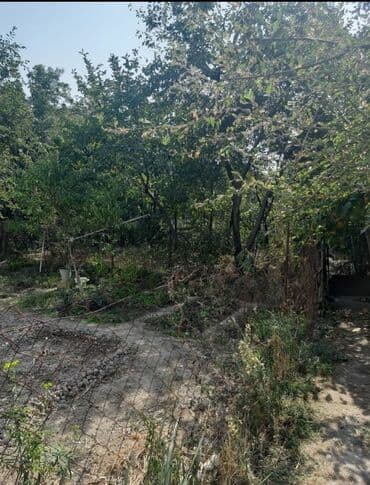 lalafo долгосрочная аренда квартир: Satılır/icarəyə təqdim olunur: geniş və işıqlı mənzil Plan: - Geniş — 25