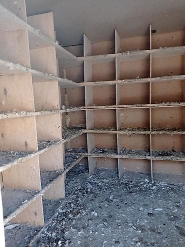heyvan satisi: Quşxana satılır içinin xanələri səliqəlidir 90 dənə xanəsi var — 6