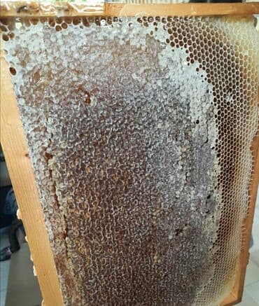 təmiz bal: Yuksək keyfiyyətli təmiz dağ balı satılır. Arılar Ismayıllıda — 2