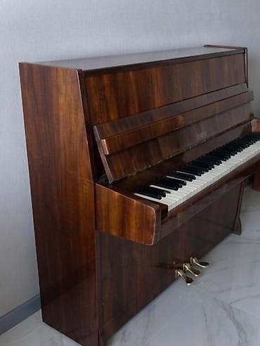 Musiqi alətləri: Piano, Petrof, Akustik, İşlənmiş — 2