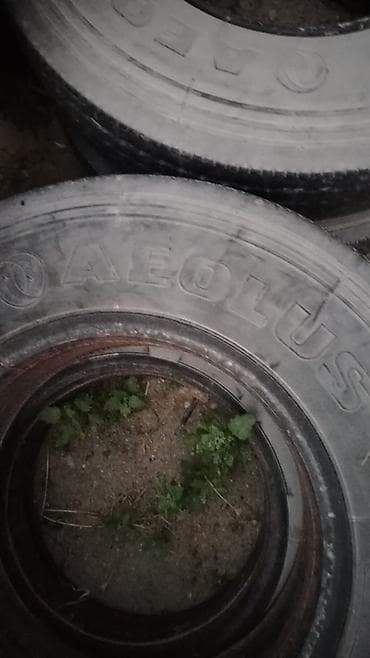 o7 sekilleri: Məhsul: Yük/N1 kateqoriyalı kommersiya avtomobili üçün şinlər - Ölçü — 5