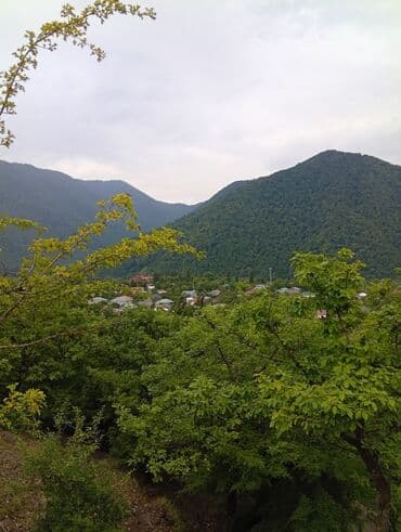 saray kirayə evlər: 120 kv. m, 3 otaqlı, Kombi, Qaz, İşıq — 14