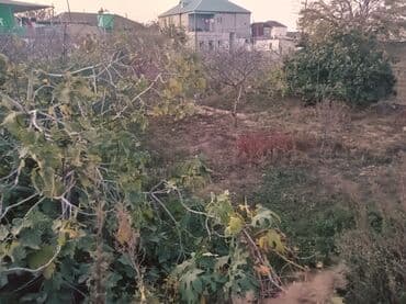 milyonerlər məhəlləsi: 3 sot, Tikinti — 1