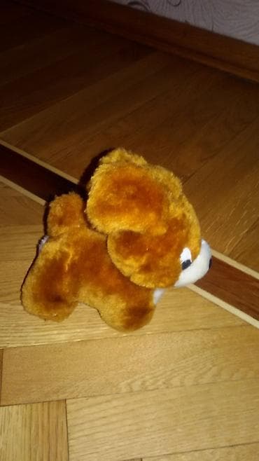 sederek xonca instagram: Təzədir hər biri — 4