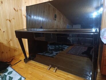 Piano, Belarus, Akustik