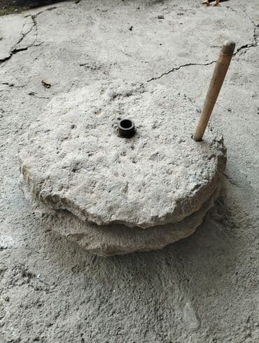 monstera bitkisi: Daş Dəyirman/Əl Dəyirmanı. Unlu, dənli bitkiləri üyütmək üçün istifadə — 2