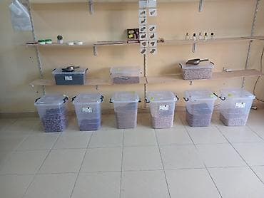 Hamısı birlikdə satılır. Böyük 35 litr olan 15 azn. kiçik 14litr olan