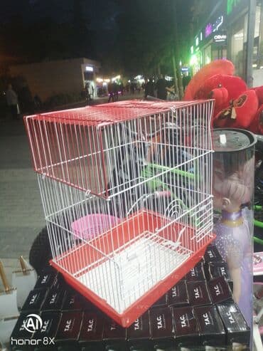 quş qəfəsləri: Qəfəs 9azn Valnisti Tutuquşu Qəfəsi 9azn Amadin Bülbül Qəfəsi 9azn — 17