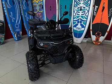 Kvadrosikllar: - Activator 280 RX, 220 sm3 — 5