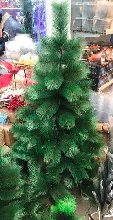 Yolka lalafo.az -da Yolka