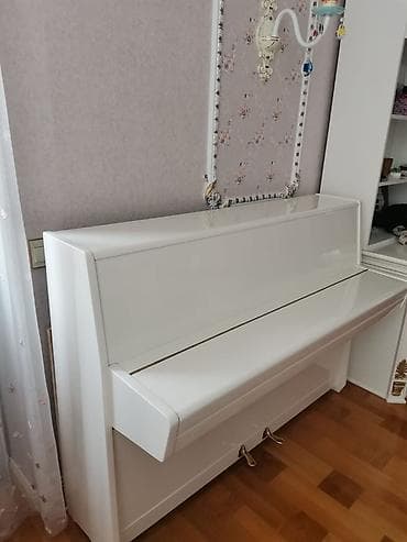 Piano, Petrof, Akustik
