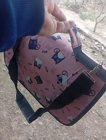 pişik daşıma: Yaxşı əllərə — 5