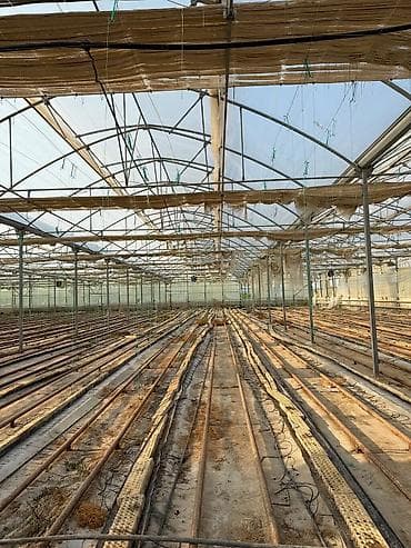 bal satışı: Salyan rayonu, Qaraçala qəsəbəsində 1 hektar xüsusi mülkiyyətə aid — 5